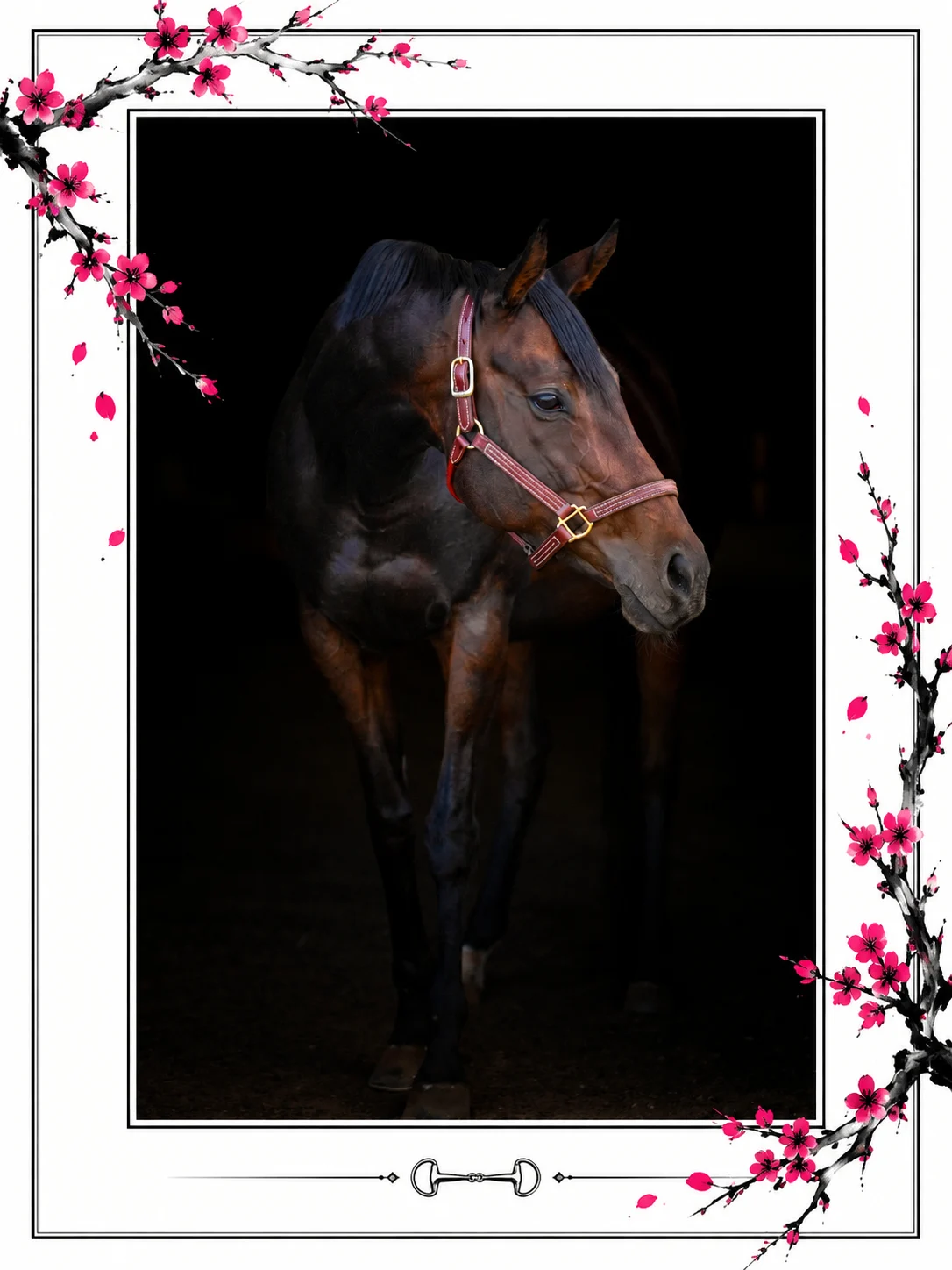 Unbridled Dixie, a dark bay Thoroughbred mare in a red halter, photographed in low light inside a white frame decorated with cherry blossom branches and a snaffle bit.